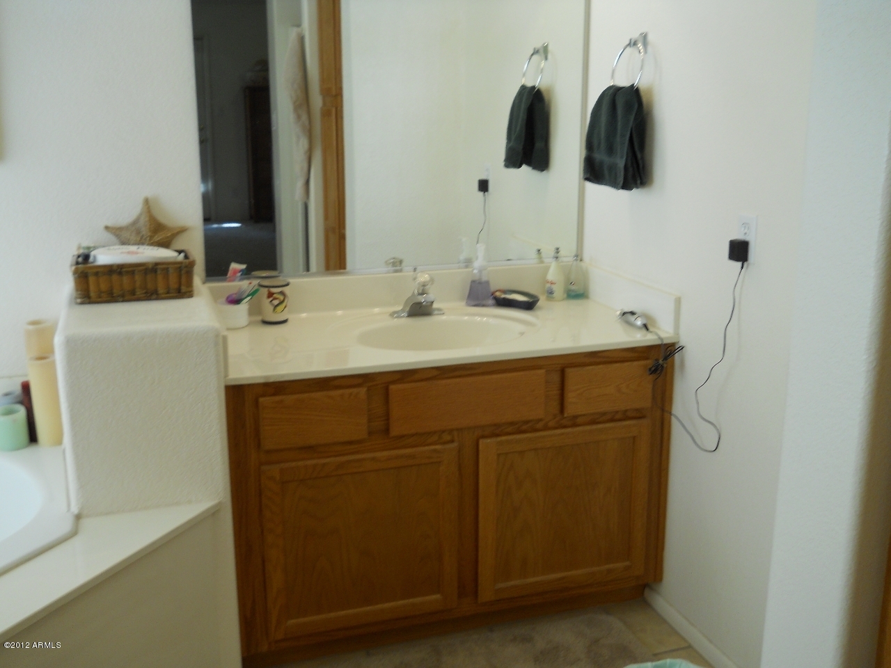 257 East Nunneley Road Gilbert, AZ 85296 - Photo 13 of 47 DSCN0512
