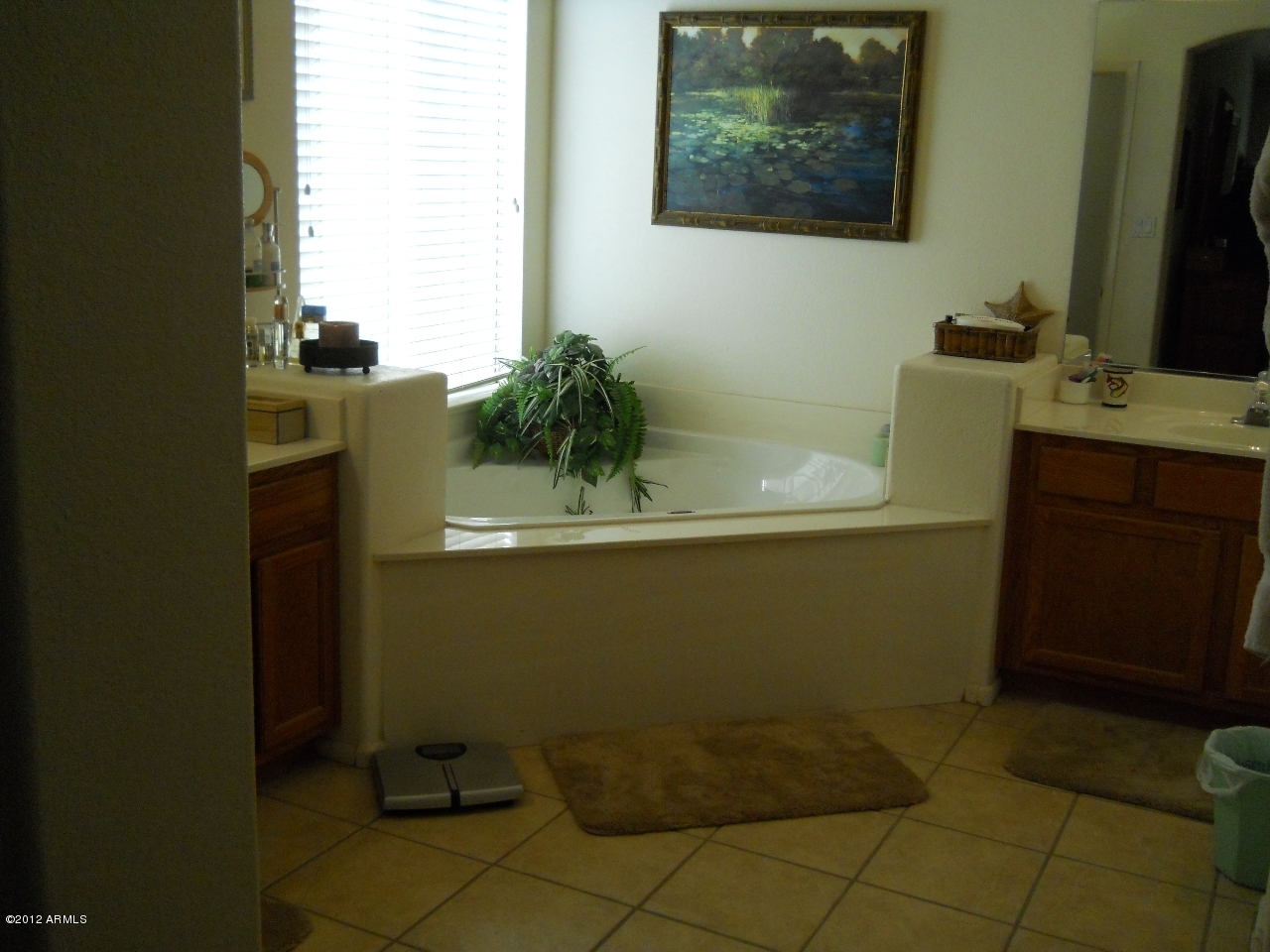 257 East Nunneley Road Gilbert, AZ 85296 - Photo 15 of 47 DSCN0511