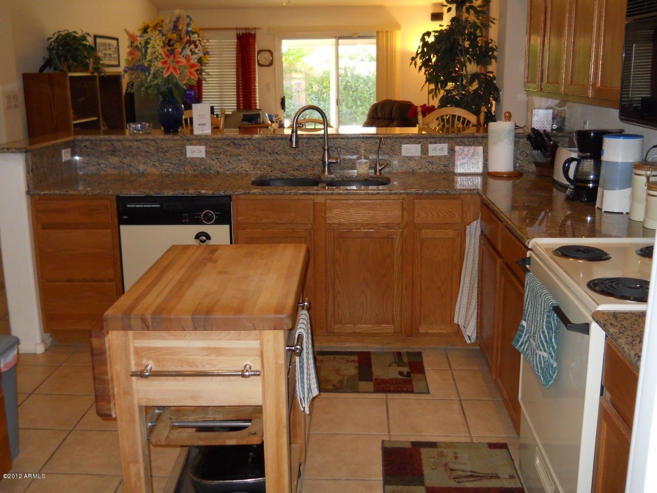 257 East Nunneley Road Gilbert, AZ 85296 - Photo 20 of 47 DSCN0493