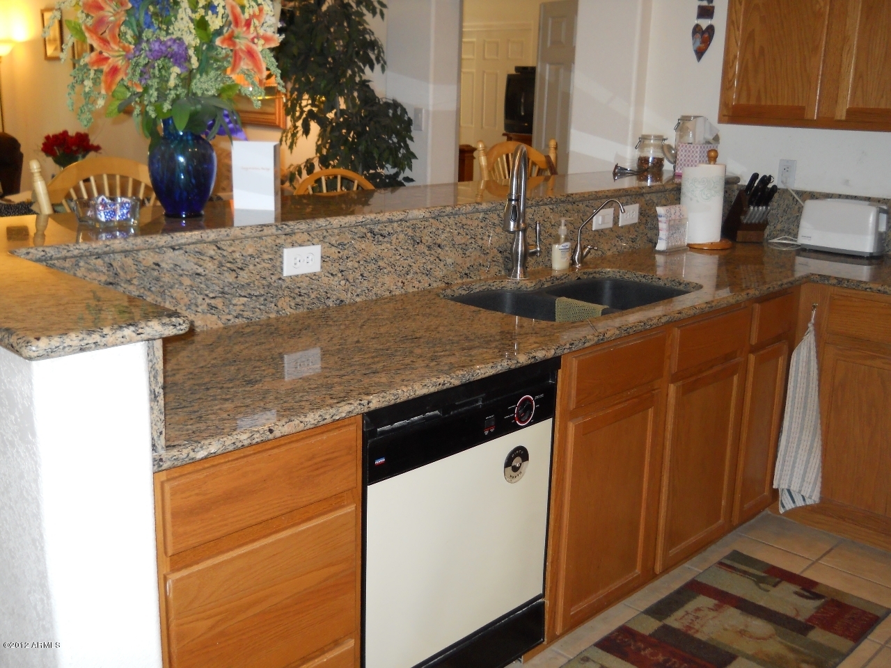 257 East Nunneley Road Gilbert, AZ 85296 - Photo 23 of 47 DSCN0490