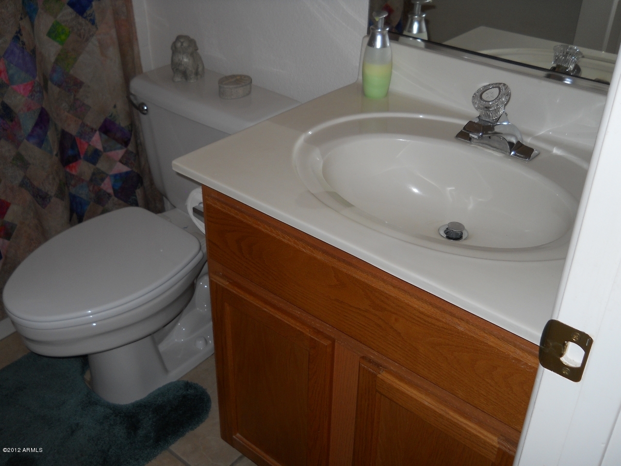 257 East Nunneley Road Gilbert, AZ 85296 - Photo 29 of 47 Hall Bath3