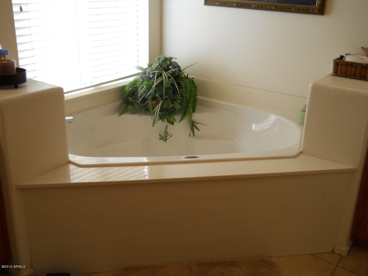 257 East Nunneley Road Gilbert, AZ 85296 - Photo 4 of 47 Master Bathtub