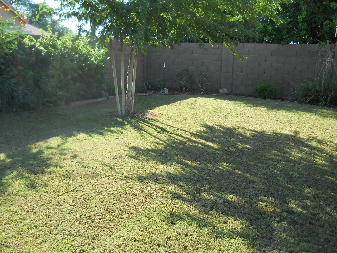 257 East Nunneley Road Gilbert, AZ 85296 - Photo 42 of 47 Back Yard6