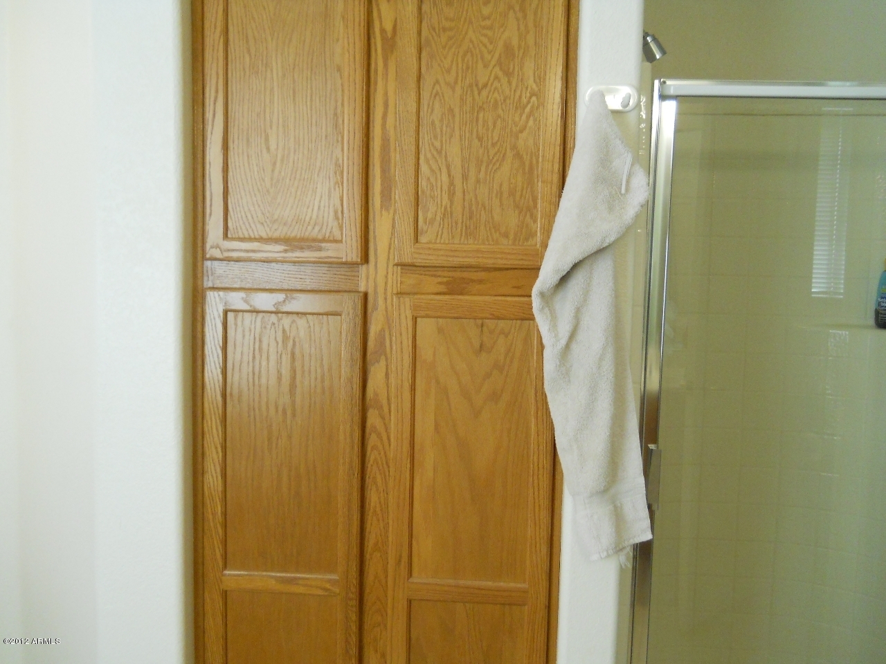 257 East Nunneley Road Gilbert, AZ 85296 - Photo 9 of 47 Master Bath Storage