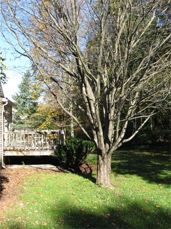 18 Oldham Road Westborough, MA 01581 - Photo 30 of 30 Gallery Image 30