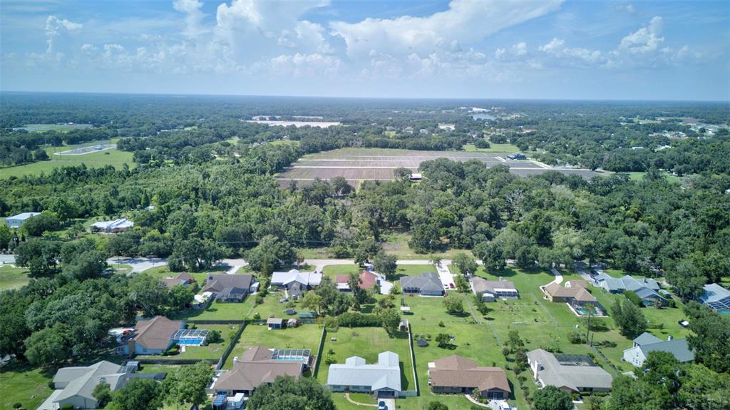 13007 Sydney Road Dover, FL 33527 - Photo 34 of 38