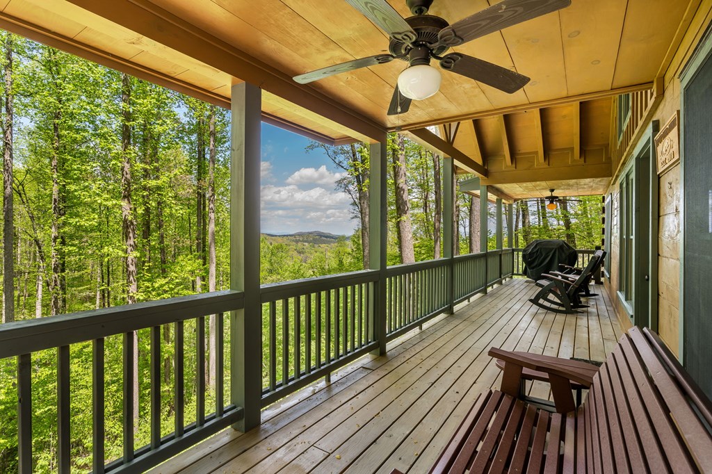 431 Little Bushy Head Road Blue Ridge, GA 30513 - Photo 3 of 46