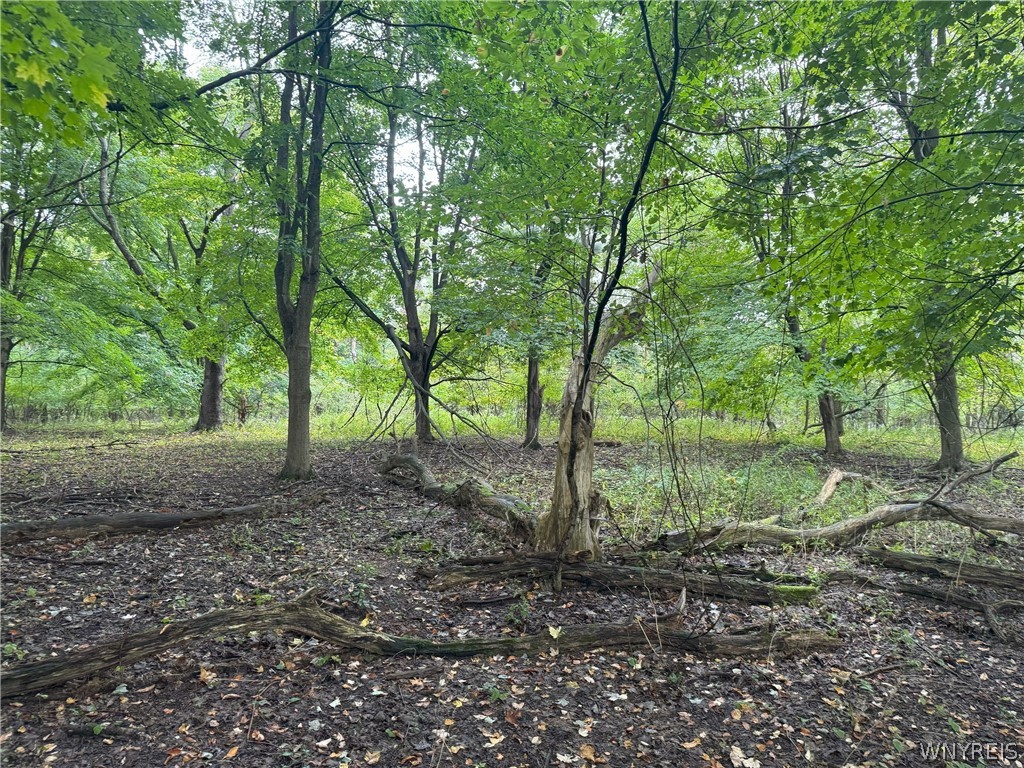 Vl Angle Road Orchard Park, NY 14127 - Photo 6 of 13 Potential building site approx 500ft into the main