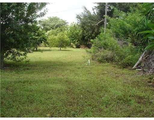 4432 Southwest 52nd Street Dania Beach, FL 33314 - Photo 4 of 4 a view of yard with green space