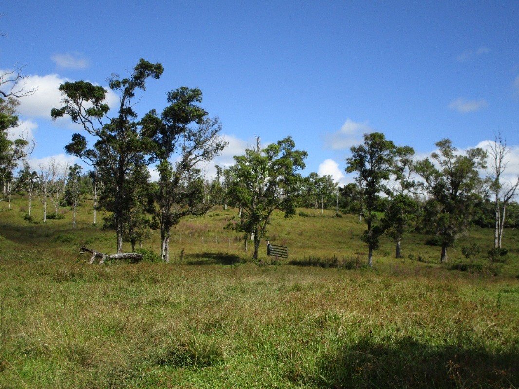 1 B Lot Pahoa, HI 96778 - Photo 1 of 10 a view of a garden