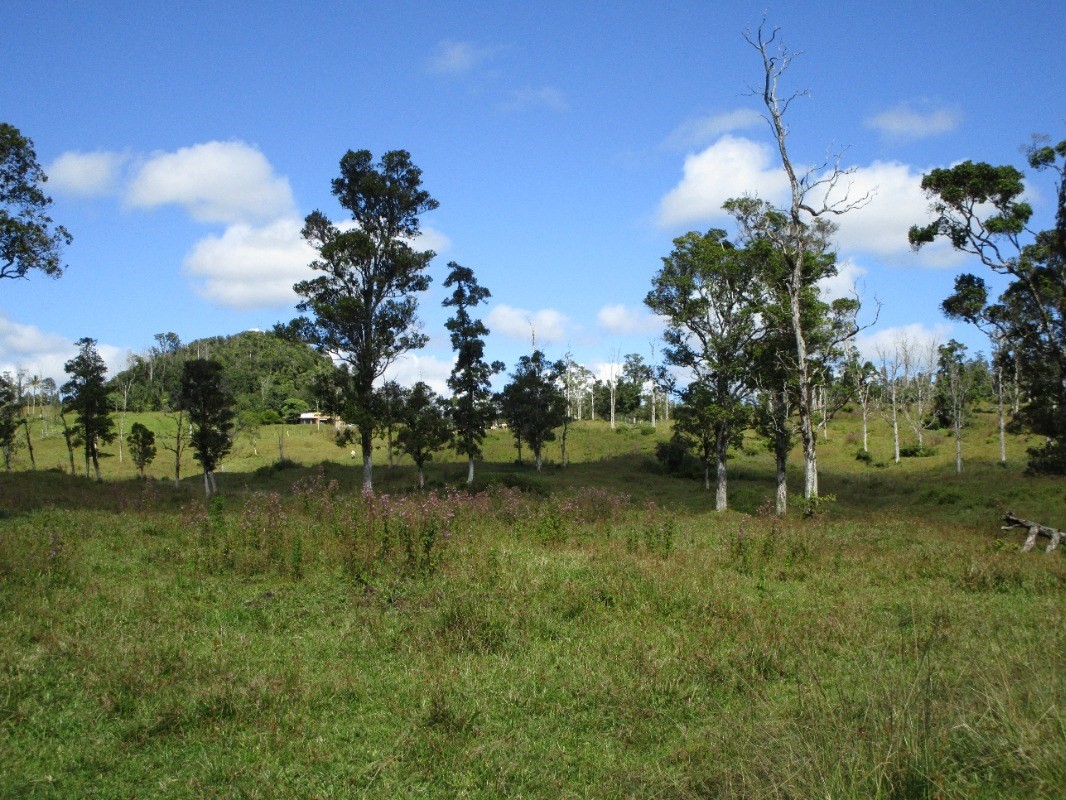 1 B Lot Pahoa, HI 96778 - Photo 3 of 10 a view of a lake with houses