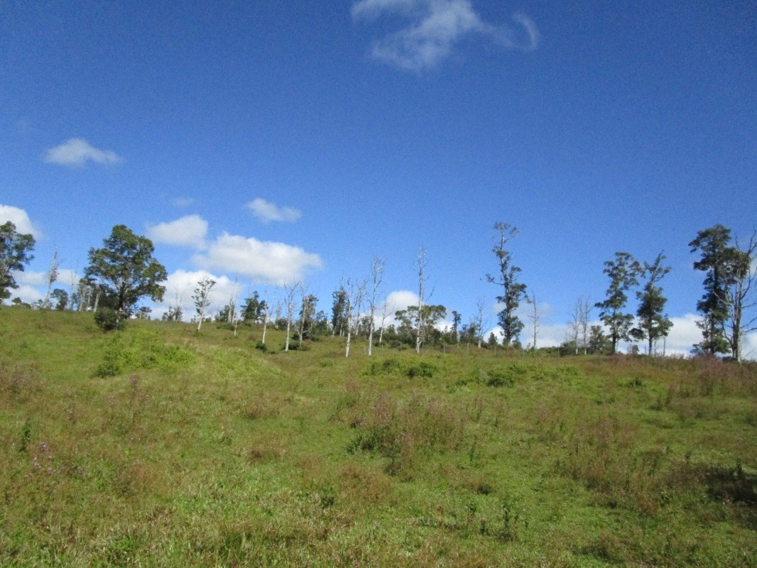 1 B Lot Pahoa, HI 96778 - Photo 4 of 10 a view of a big yard with a house in the background