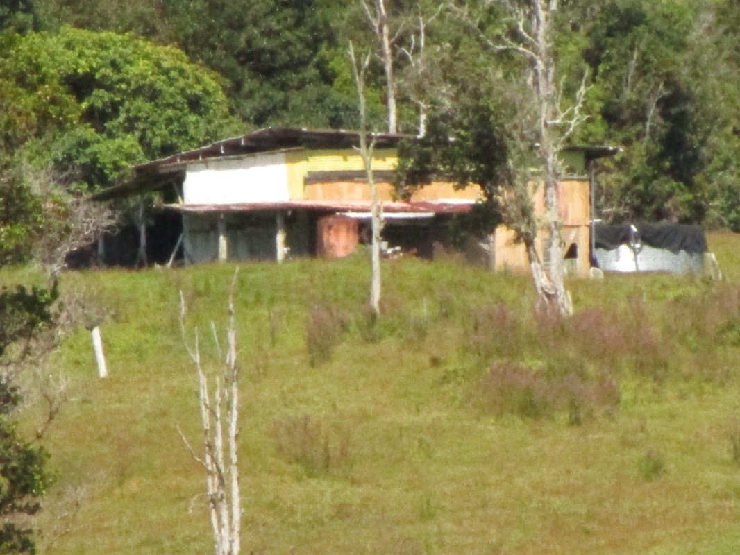 1 B Lot Pahoa, HI 96778 - Photo 7 of 10 a view of a swimming pool with a yard