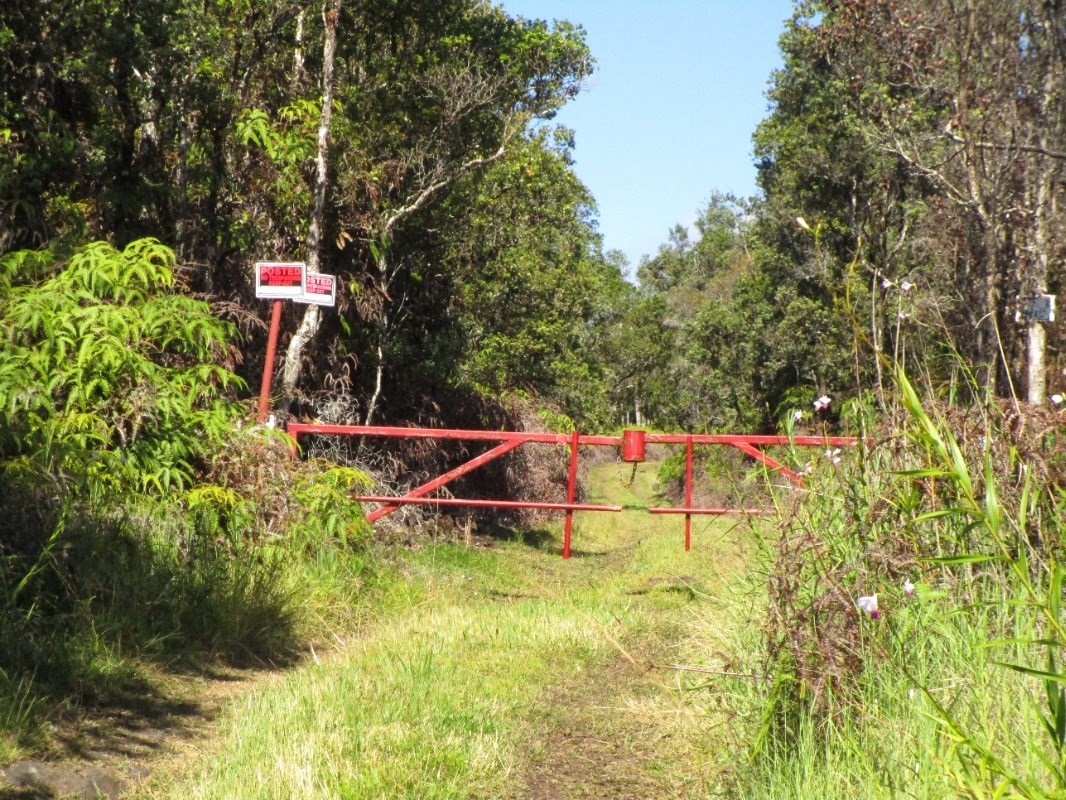1 B Lot Pahoa, HI 96778 - Photo 9 of 10 a backyard of a house with lots of green space and trees