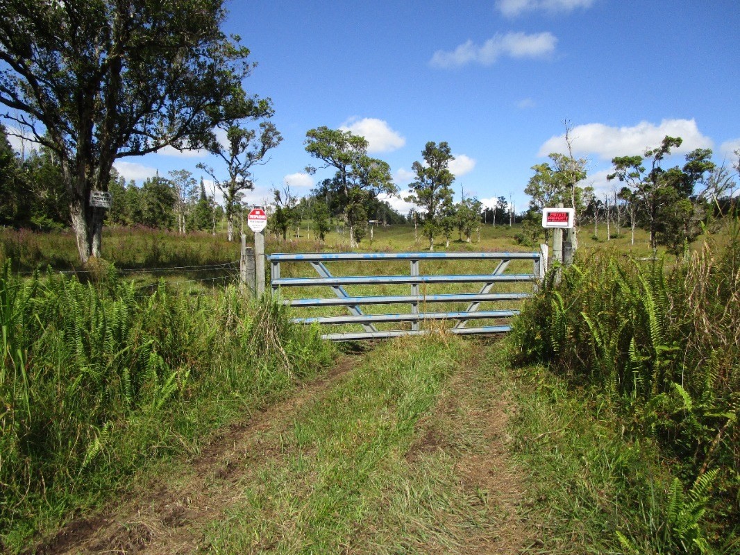 1 B Lot Pahoa, HI 96778 - Photo 10 of 10 a view of a garden with a flower garden