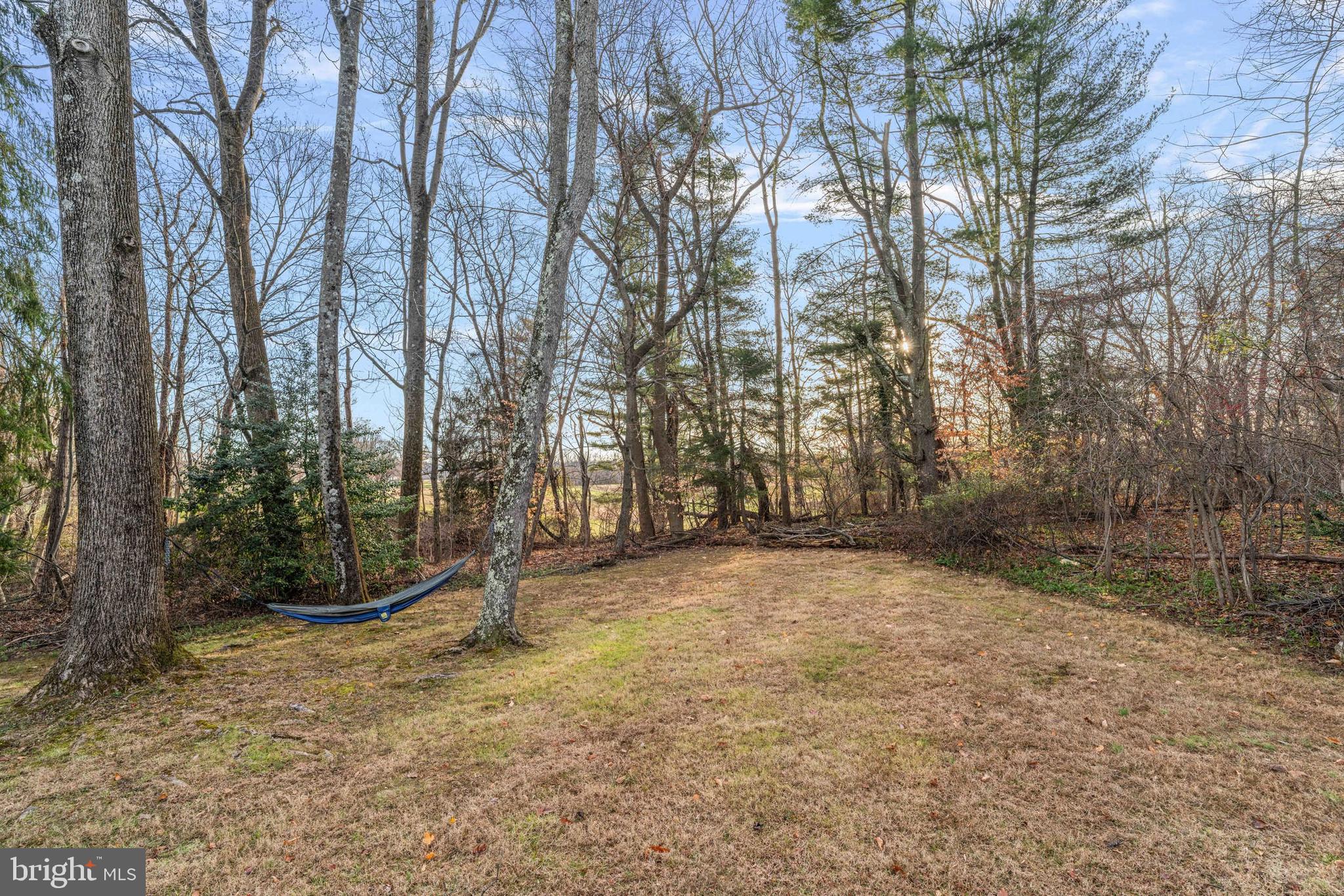 472 Woodward Drive Huntingdon Valley, PA 19006 - Photo 27 of 27 a backyard of a house with lots of green space