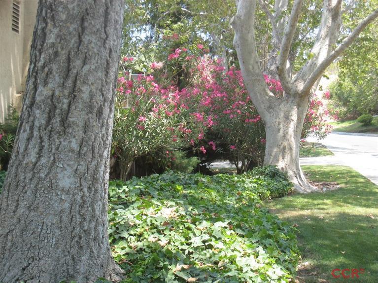 643 Roskilde Road Solvang, CA 93463 - Photo 22 of 22 Additional Photo