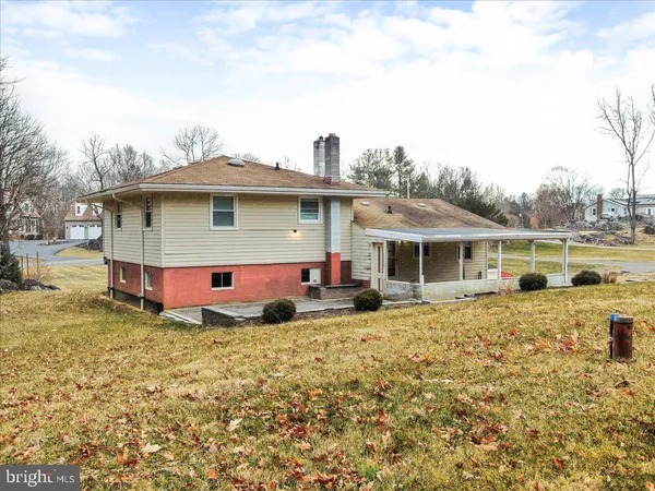 a view of backyard with large tree