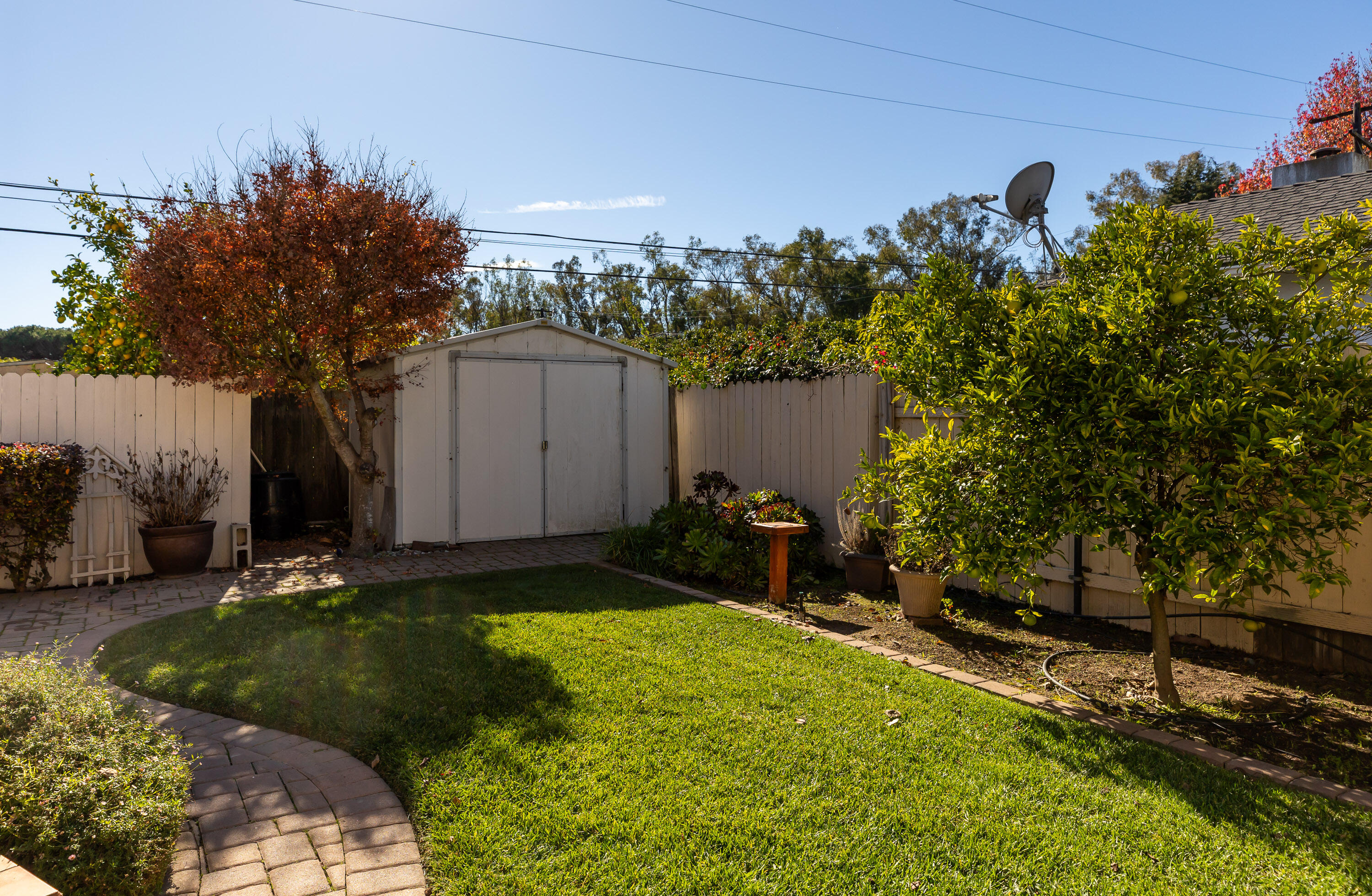 6281 Covington Way Goleta, CA 93117 - Photo 29 of 31 a view of backyard with plants and trees