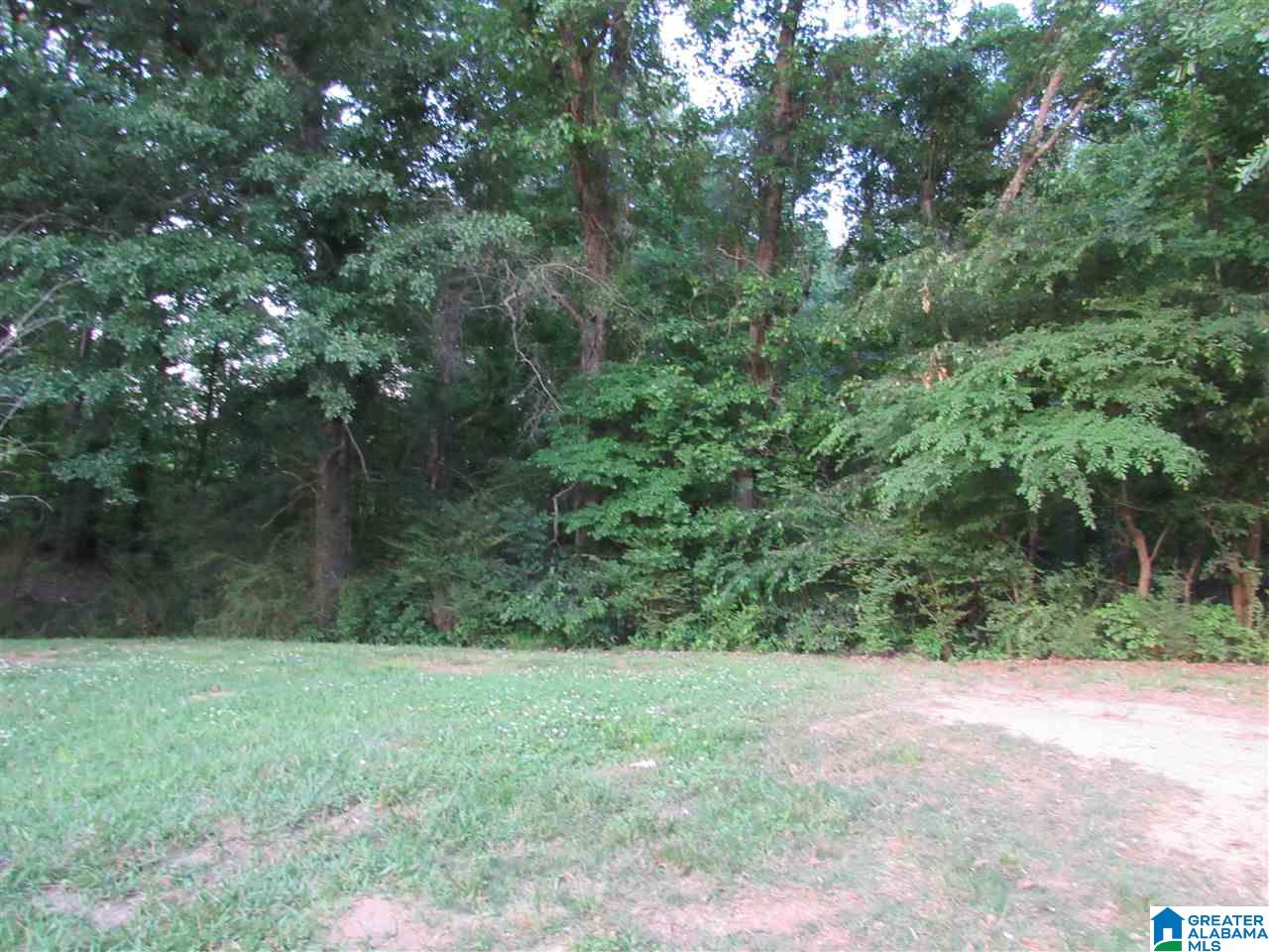 210 Shirey Lane Calera, AL 35040 - Photo 33 of 38
