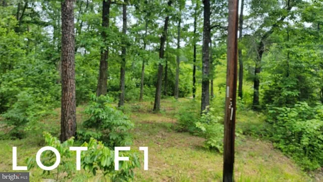 $25,000 | F1 Orchid Lake Drive, Gum Spring, VA 23065