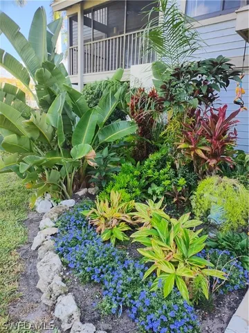 a view of a garden with plants