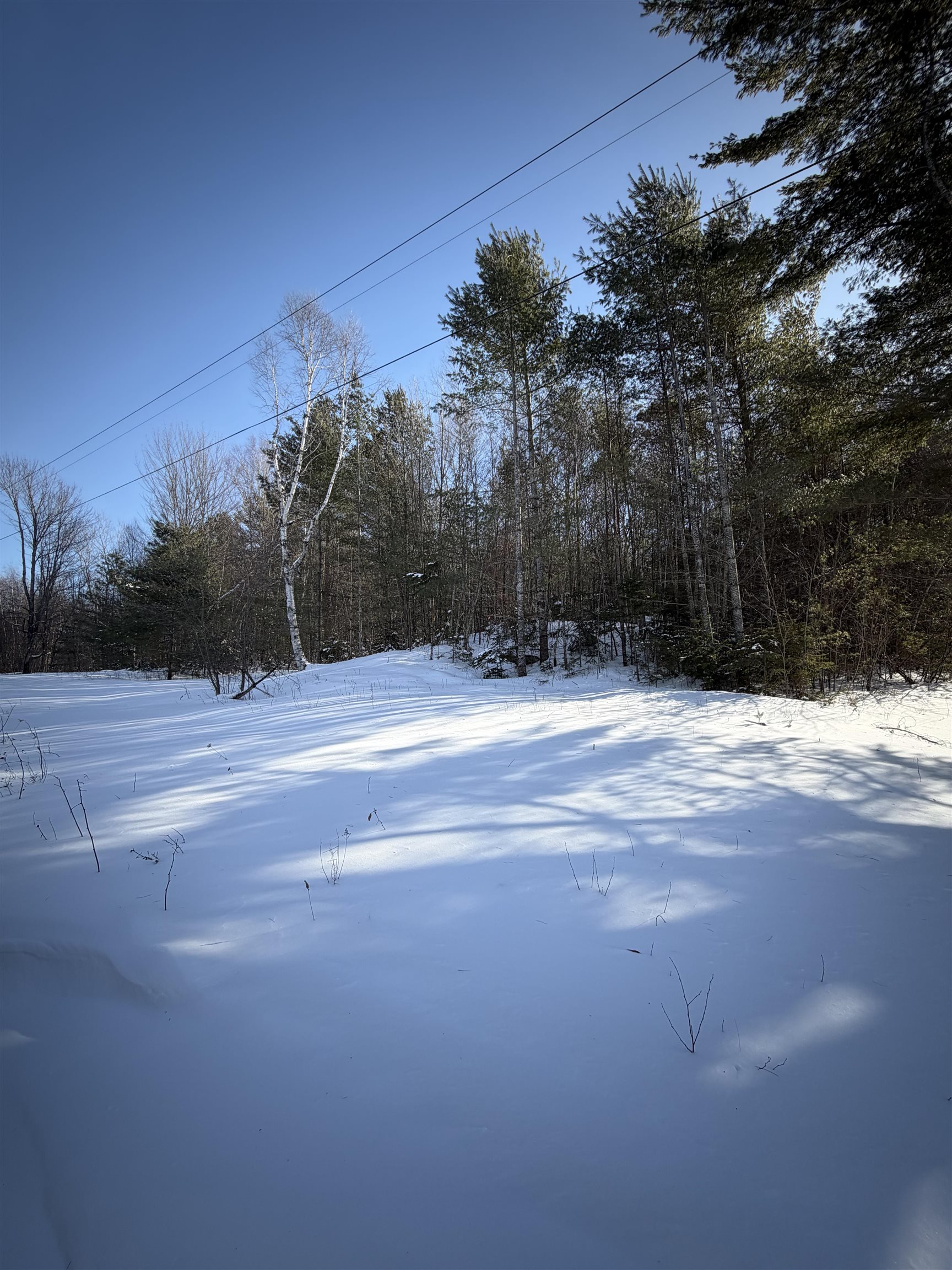 Tbd Tbd Glover Road Newport, VT 05855 - Photo 11 of 18