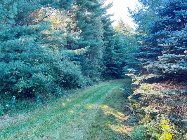 $119,900 | Tbd Tbd Glover Road, Newport, VT 05855