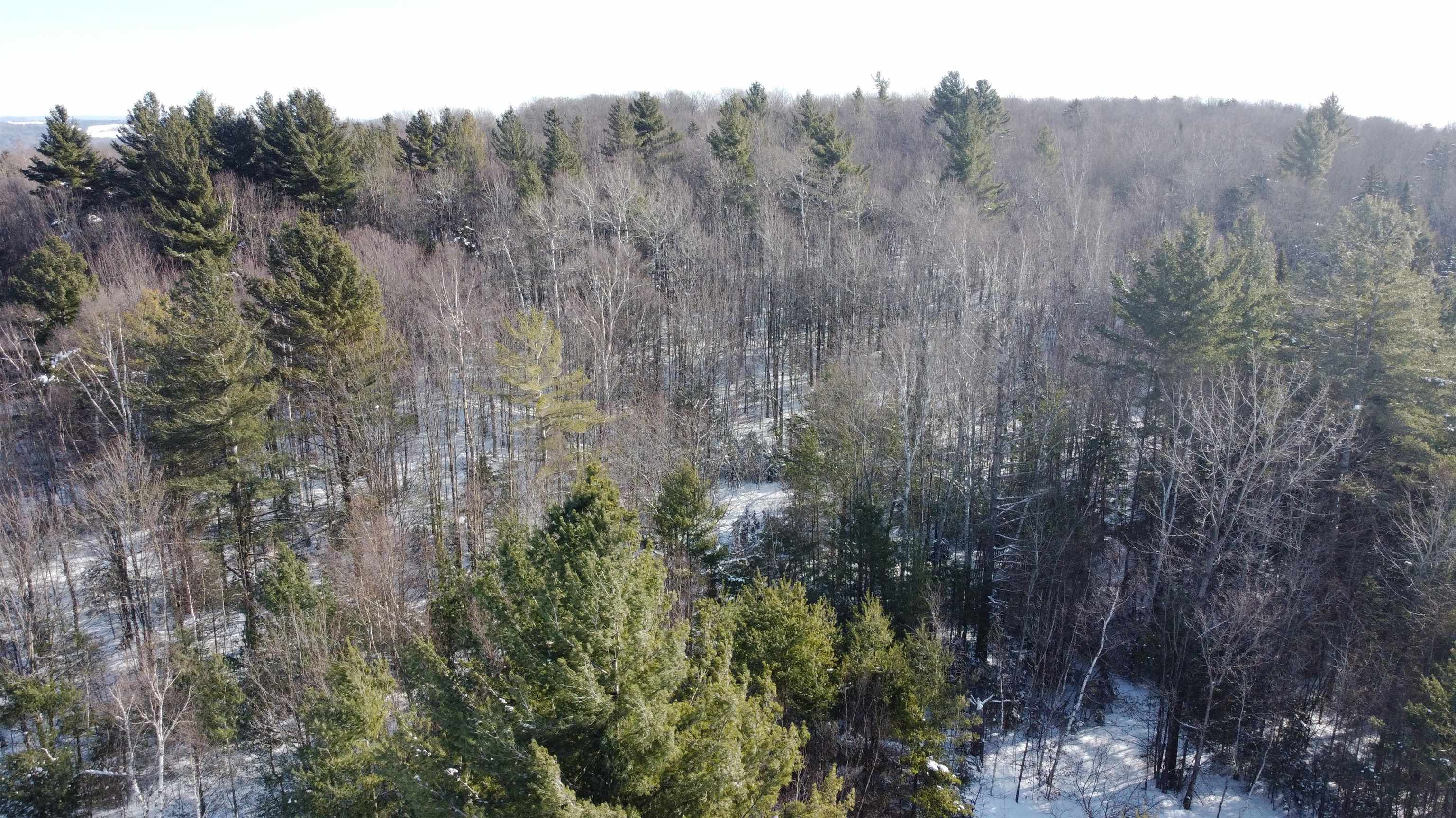 Tbd Tbd Glover Road Newport, VT 05855 - Photo 8 of 18