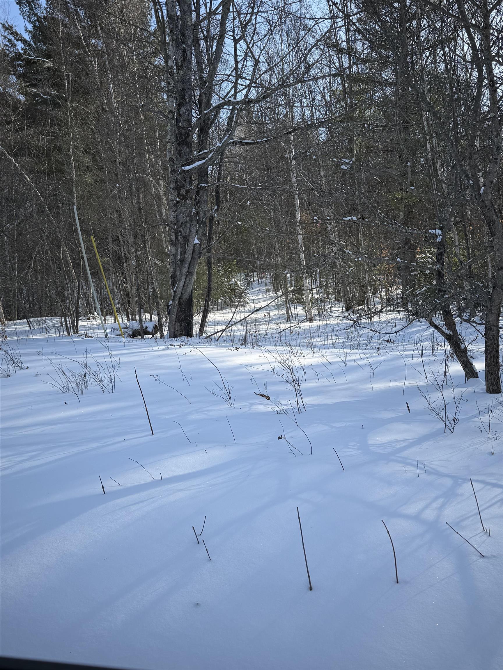 Tbd Tbd Glover Road Newport, VT 05855 - Photo 9 of 18