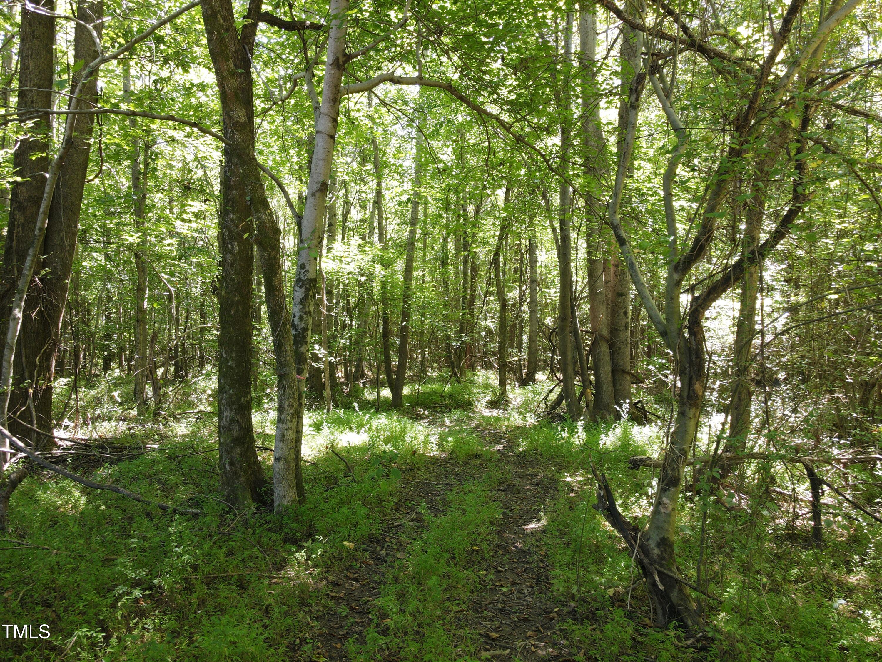 0 Red Oak Road Battleboro, NC 27809 - Photo 11 of 25 RR MLS 12