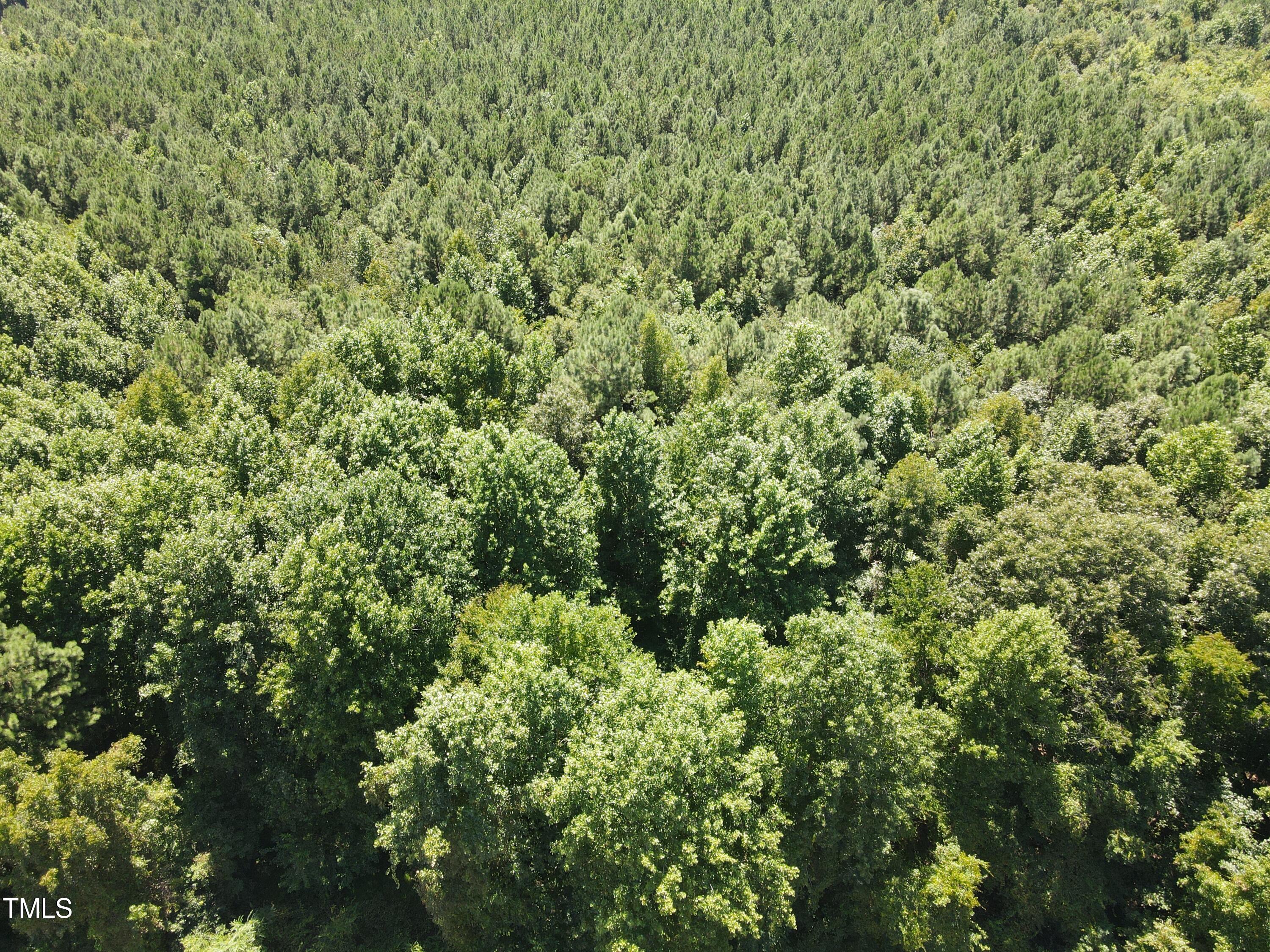 0 Red Oak Road Battleboro, NC 27809 - Photo 20 of 25 RR MLS 21