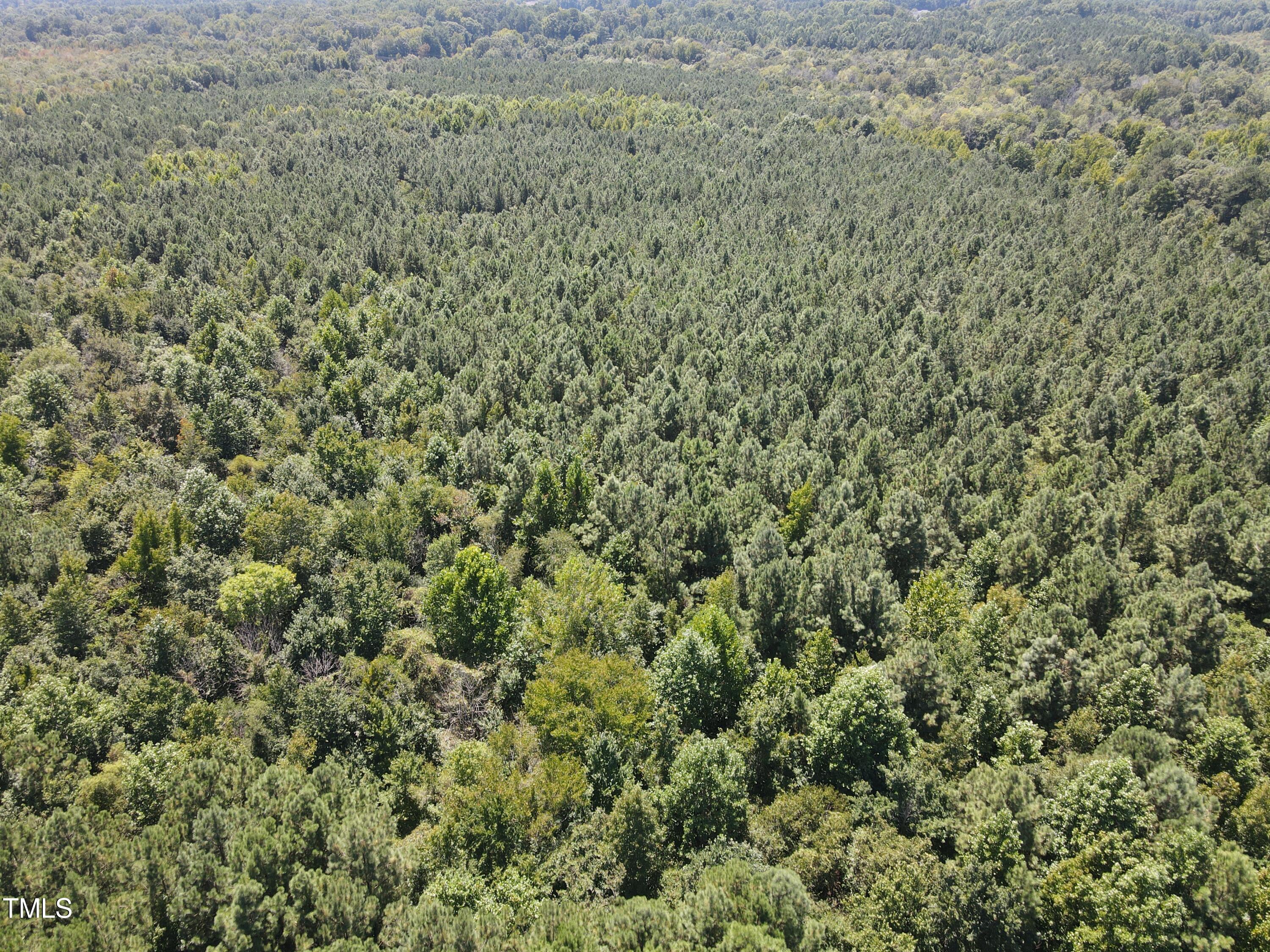 0 Red Oak Road Battleboro, NC 27809 - Photo 21 of 25 RR MLS 22