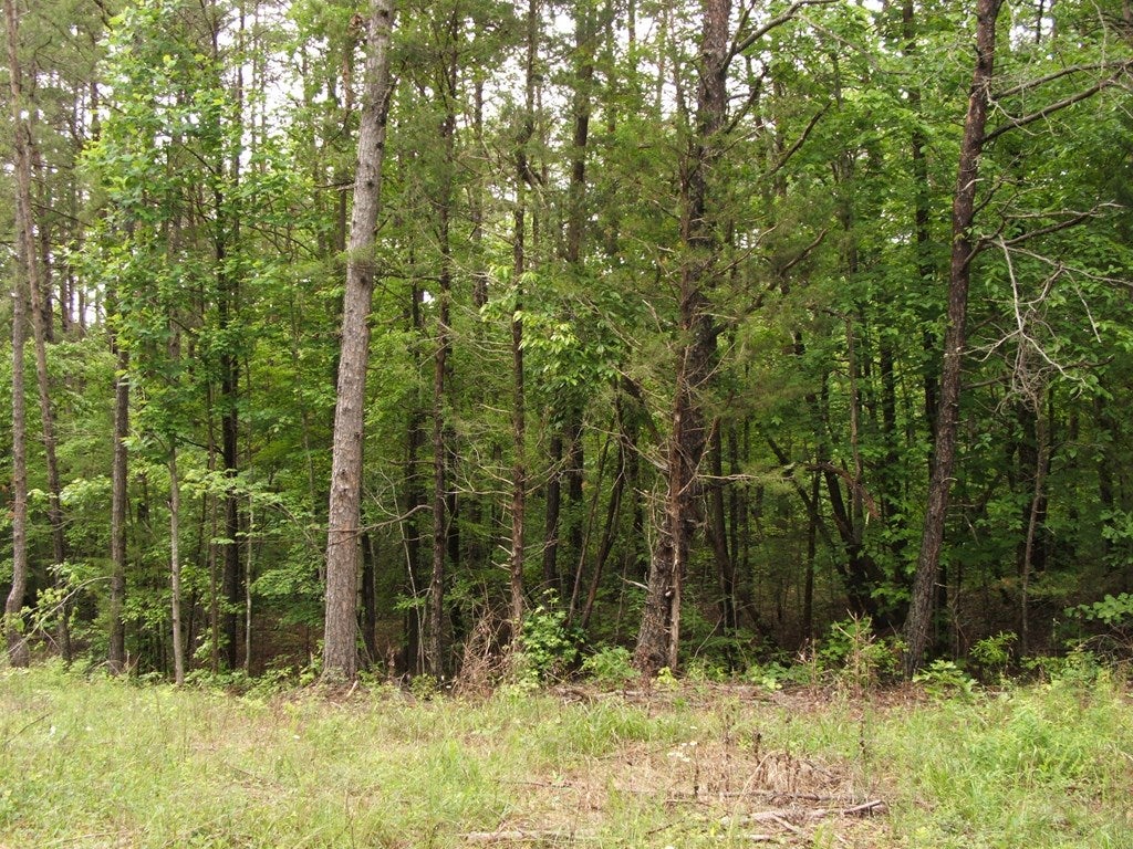 659 Old Mansion Road, Unit A Kenbridge, VA 23944 - Photo 8 of 8 Gallery Image 8