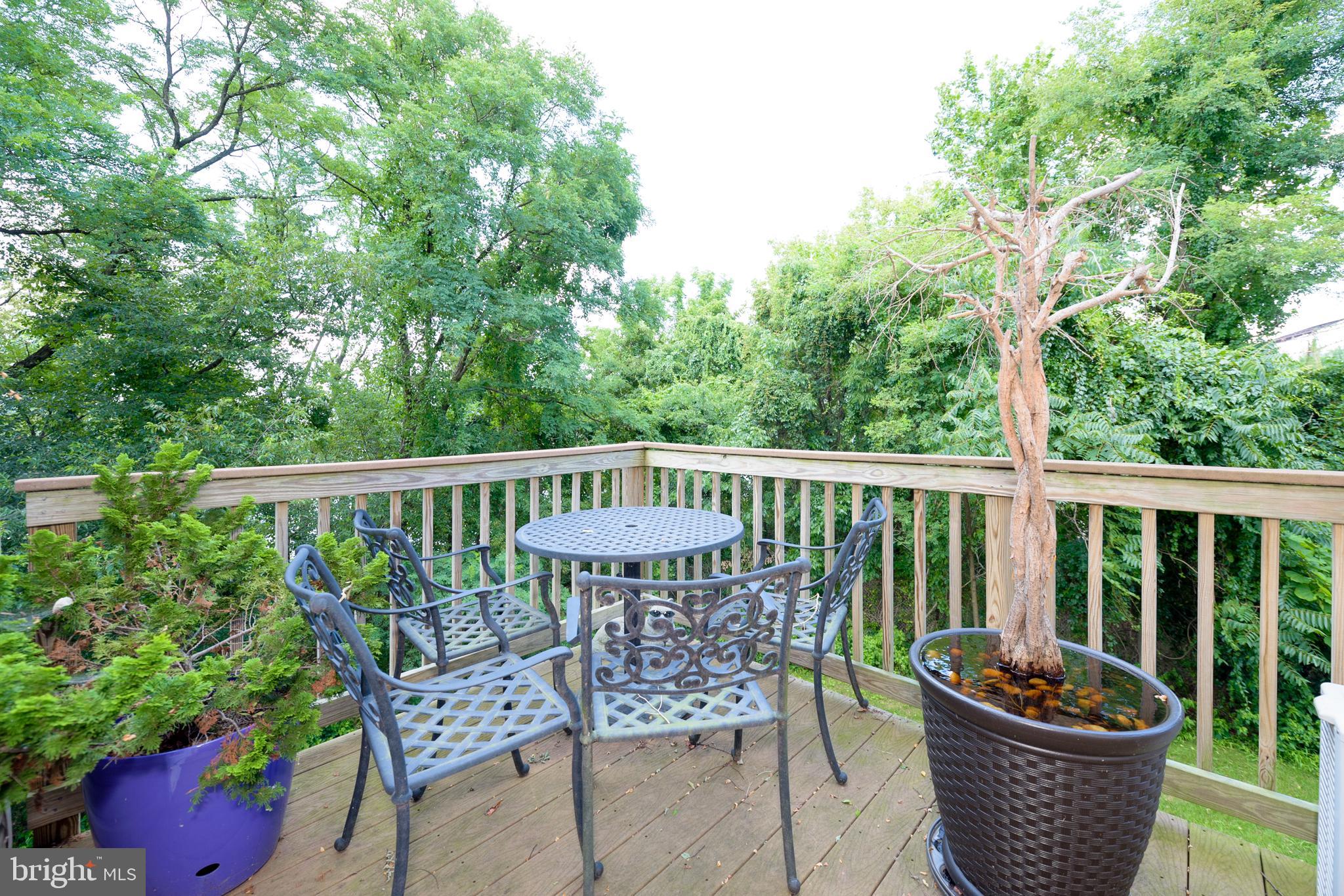 12 River Lane Delanco, NJ 08075 - Photo 21 of 57 The River is just over the trees...