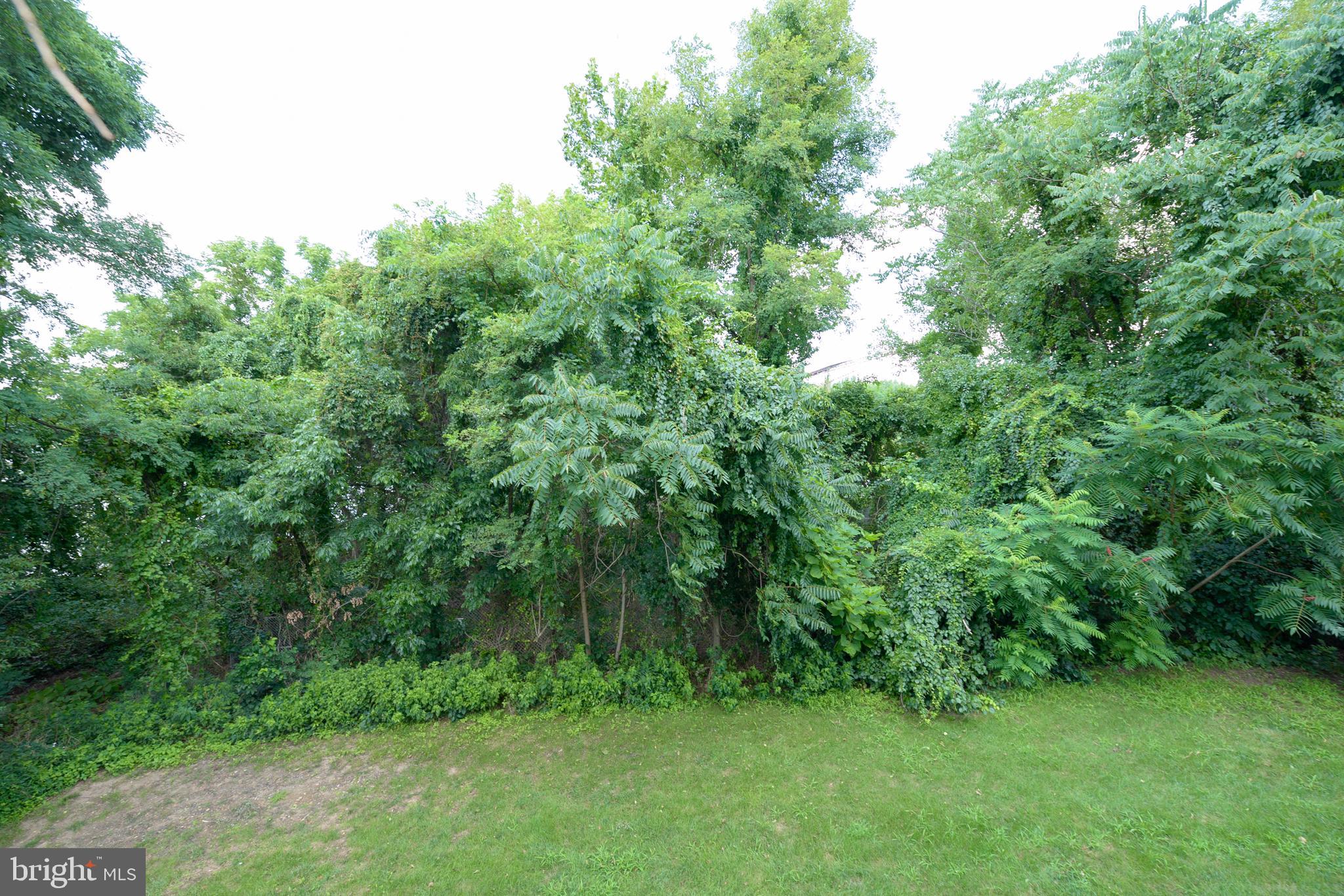 12 River Lane Delanco, NJ 08075 - Photo 56 of 57 Gallery Image 56