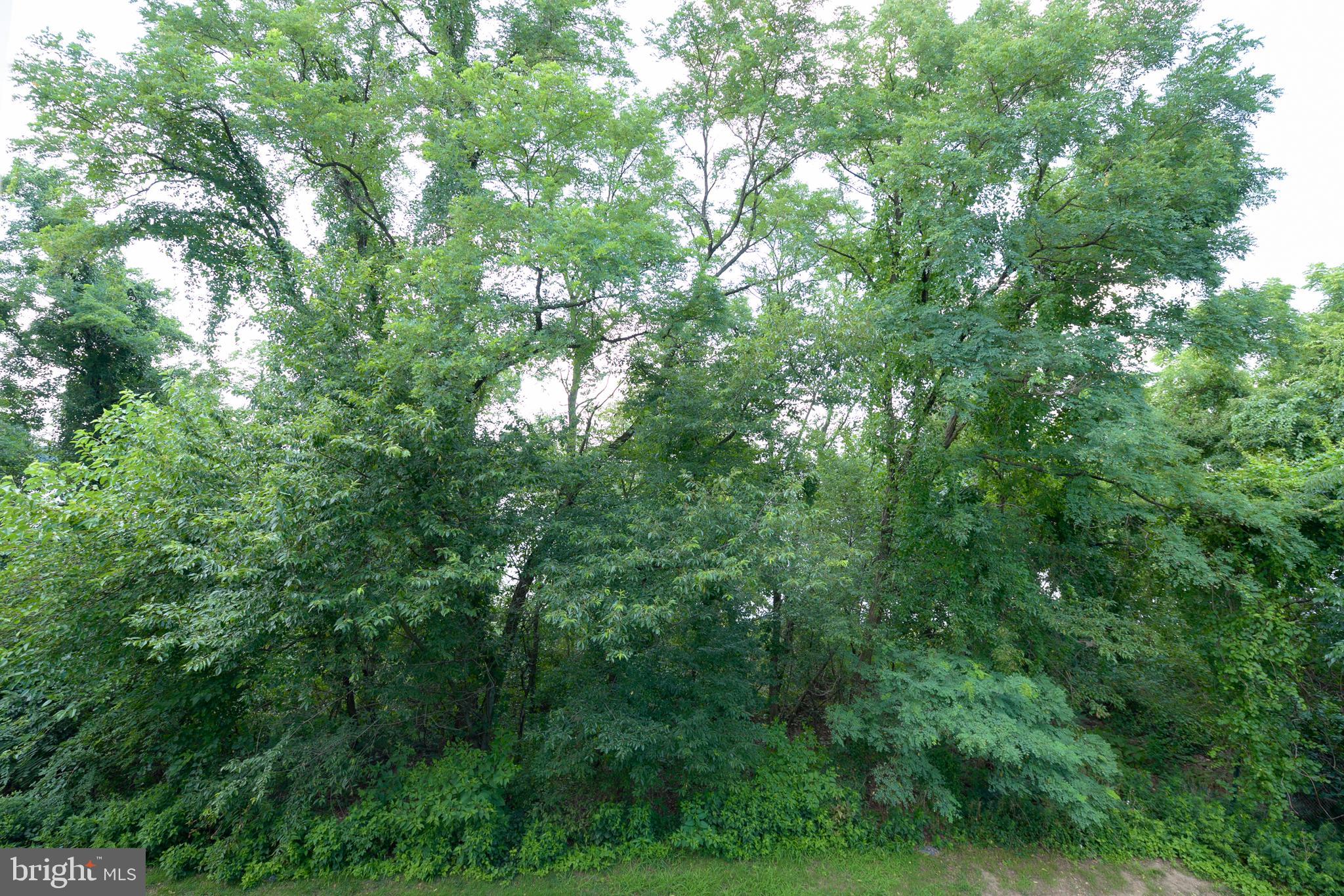 12 River Lane Delanco, NJ 08075 - Photo 57 of 57 Gallery Image 57
