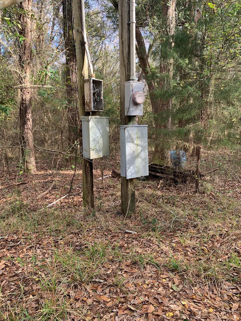 0 Draughon Road Gordon, AL 36343 - Photo 3 of 8