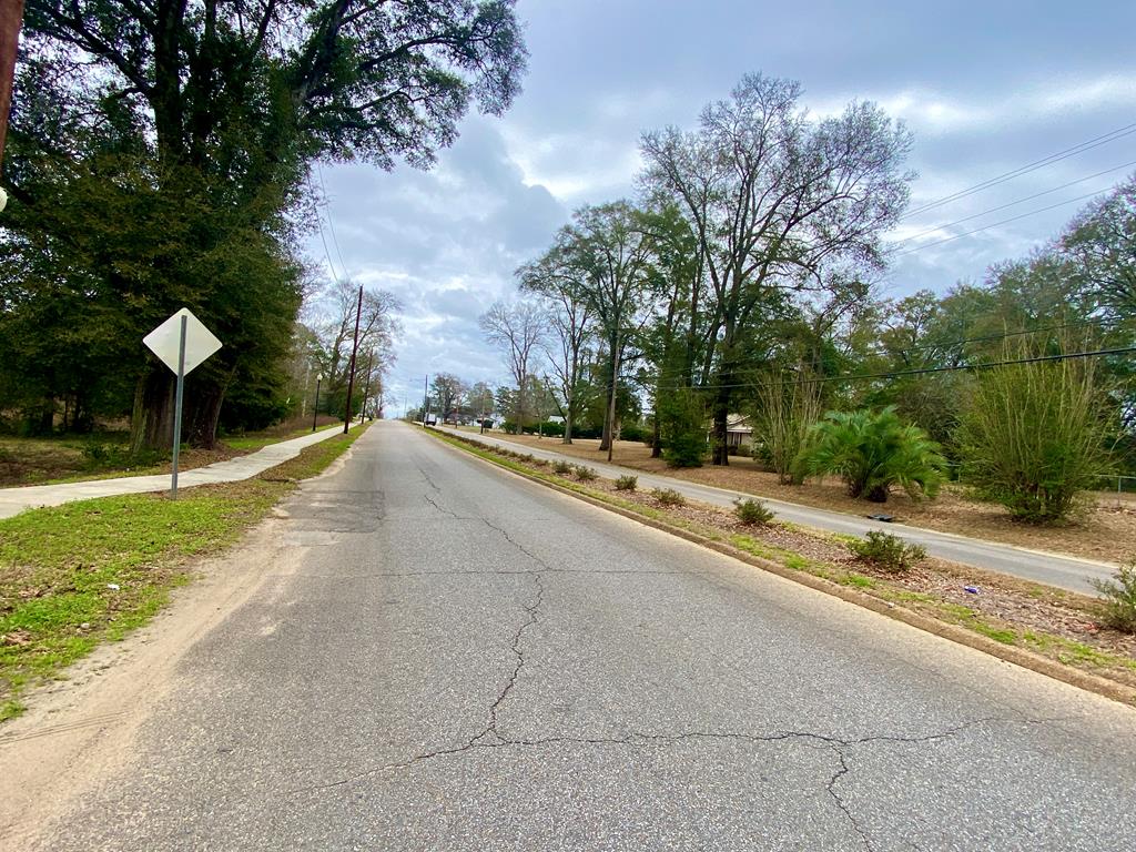 604 West W Main Street Samson, AL 36477 - Photo 5 of 5