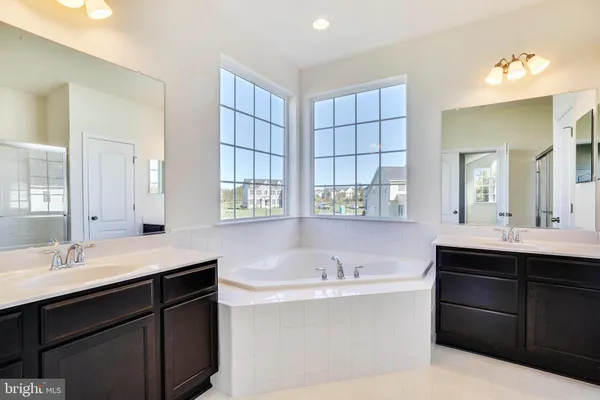 a bathroom with a sink double vanity and a bathtub