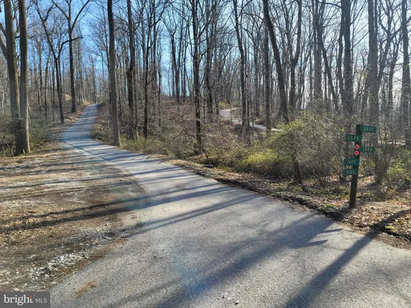 a view of backyard with green space