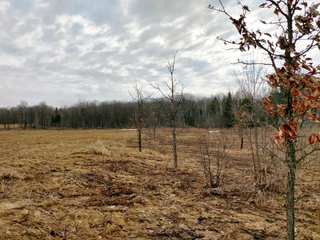 W3598 Nyberg-Hill Road Prentice, WI 54556 - Photo 18 of 24 Gallery Image 18