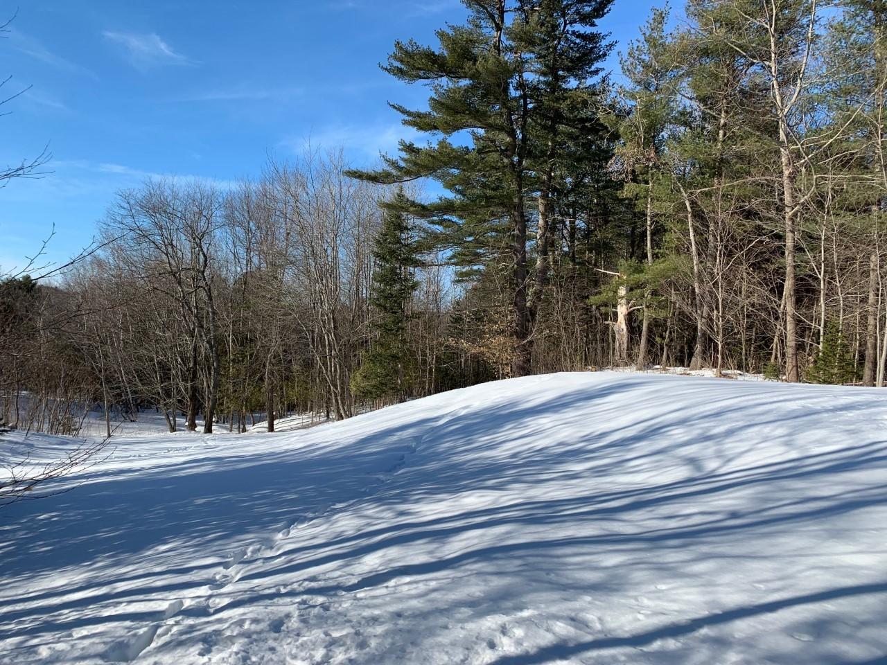 309 East Road Wales, ME 04280 - Photo 24 of 26 309 East Rd back yard 1