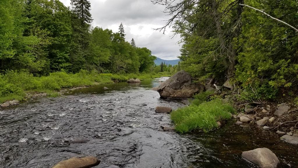 0 Stratton Road Dallas Plt, ME 04970 - Photo 10 of 39 20180607_124915