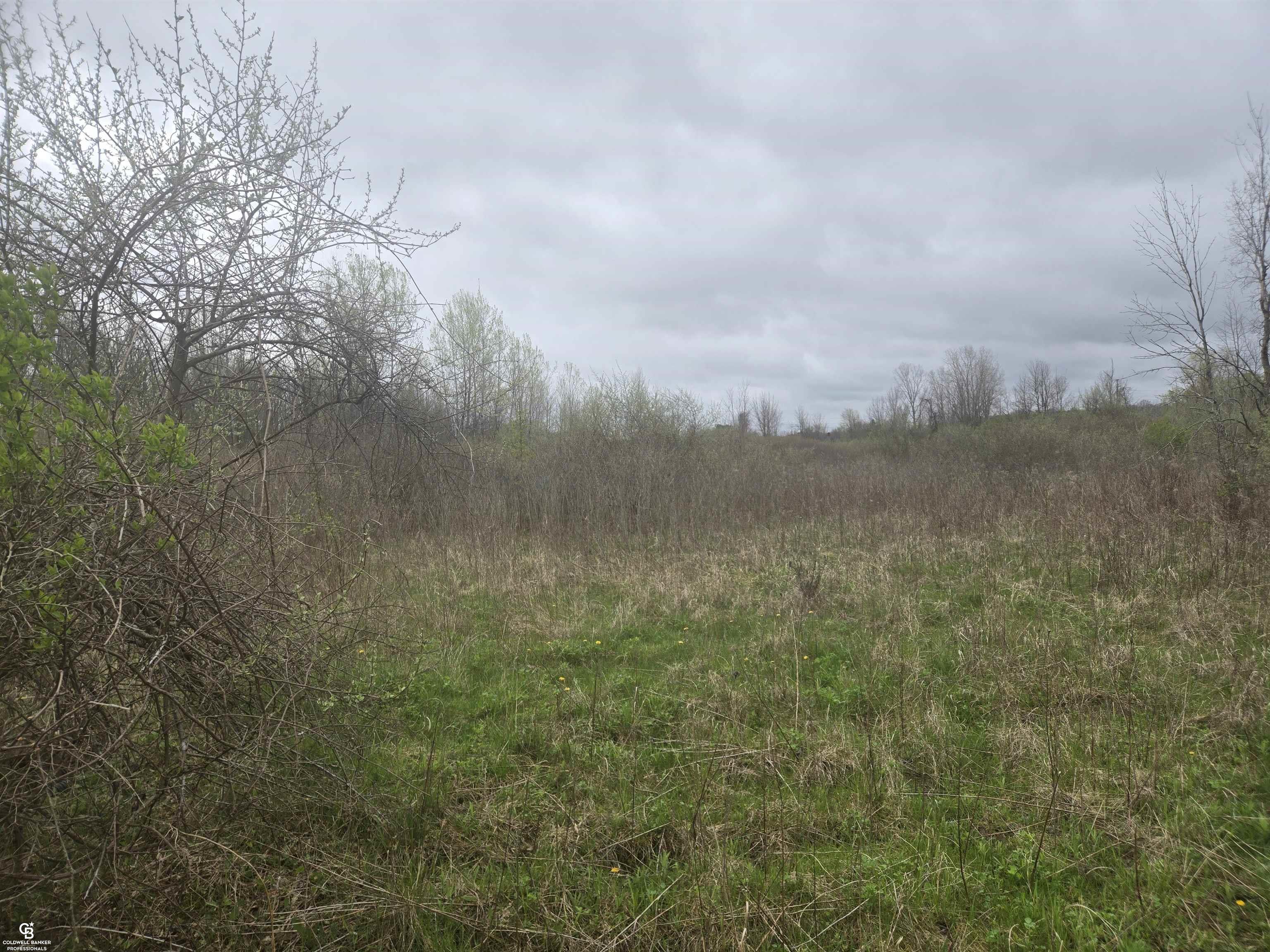 5637 Metcalf Road North Street, MI 48049 - Photo 8 of 13