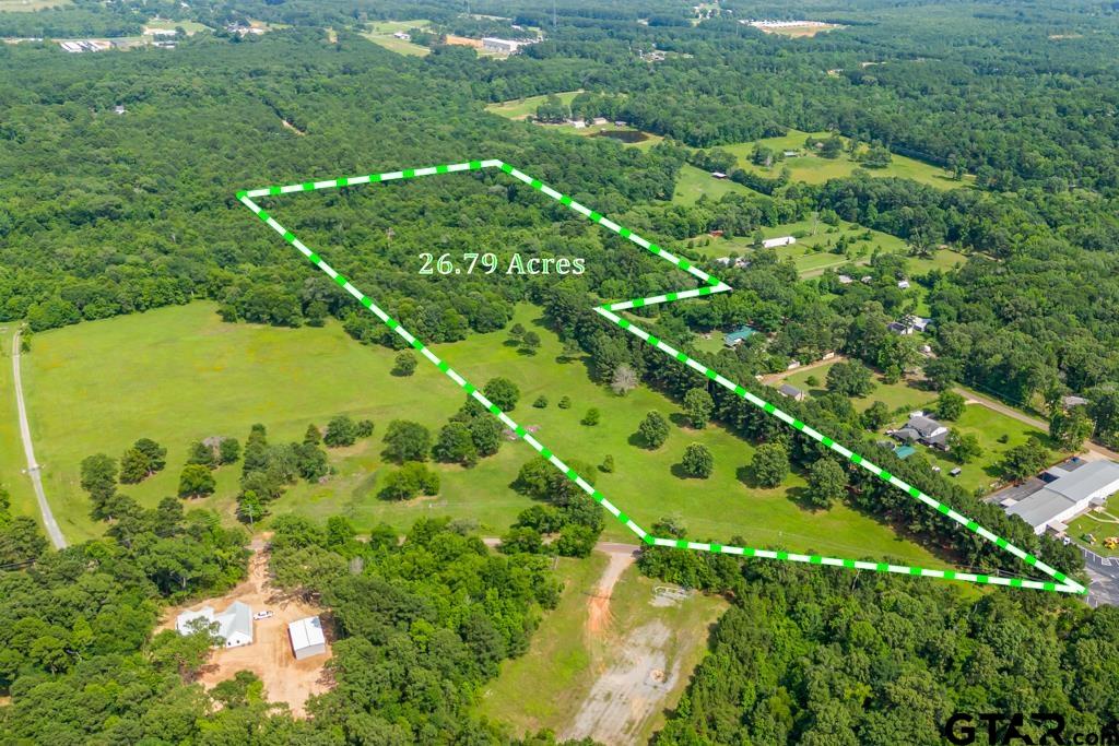 a view of a big yard with plants and large trees
