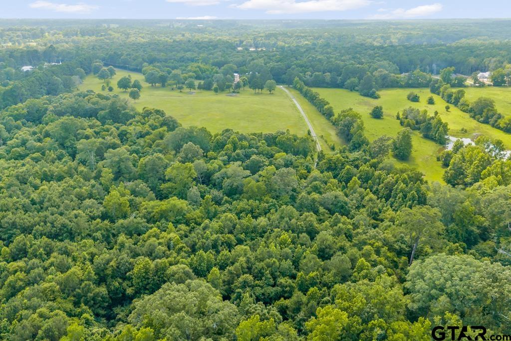 2 Maple Springs Road Hallsville, TX 75650 - Photo 11 of 19 a view of a city