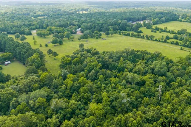 an aerial view of residential houses with outdoor space and trees
