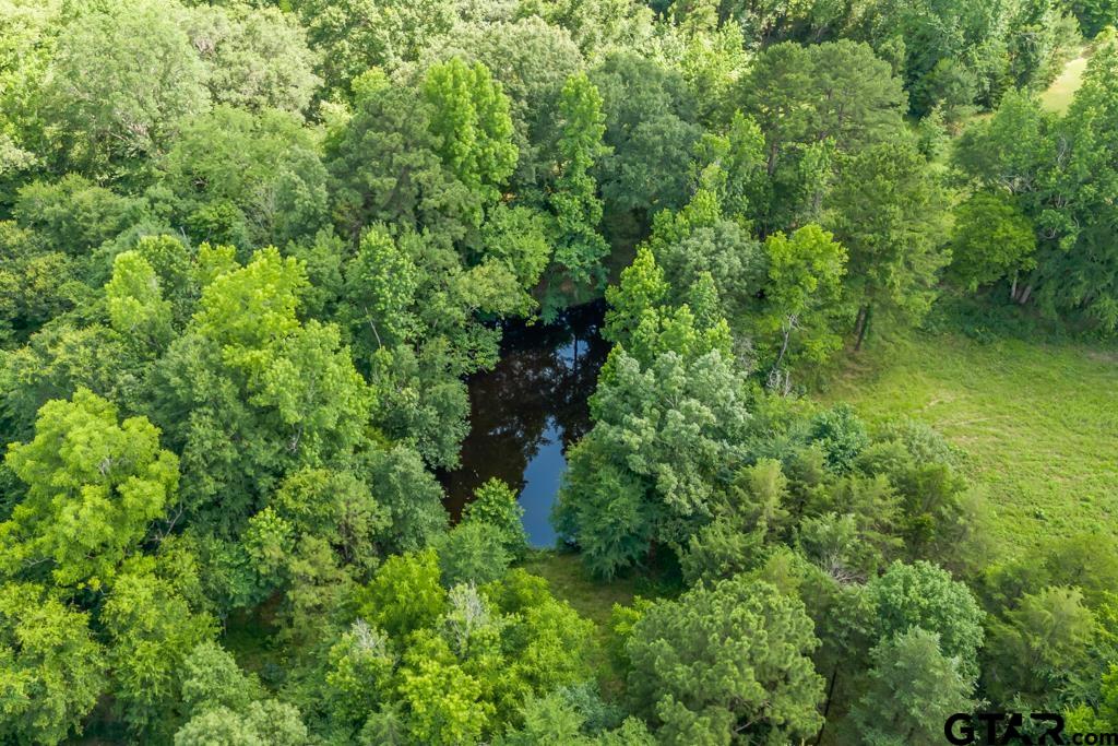 2 Maple Springs Road Hallsville, TX 75650 - Photo 13 of 19 a plant view