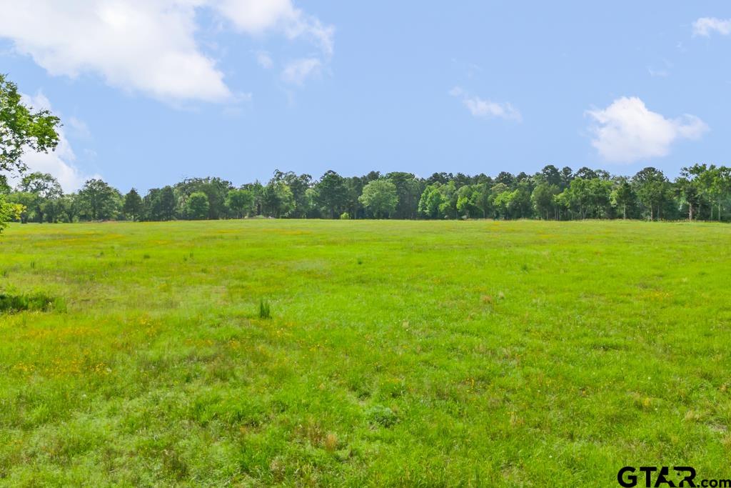 2 Maple Springs Road Hallsville, TX 75650 - Photo 14 of 19 a view of an ocean and a yard